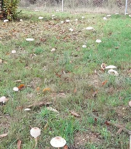 Casa Cesar Kwatera prywatna *